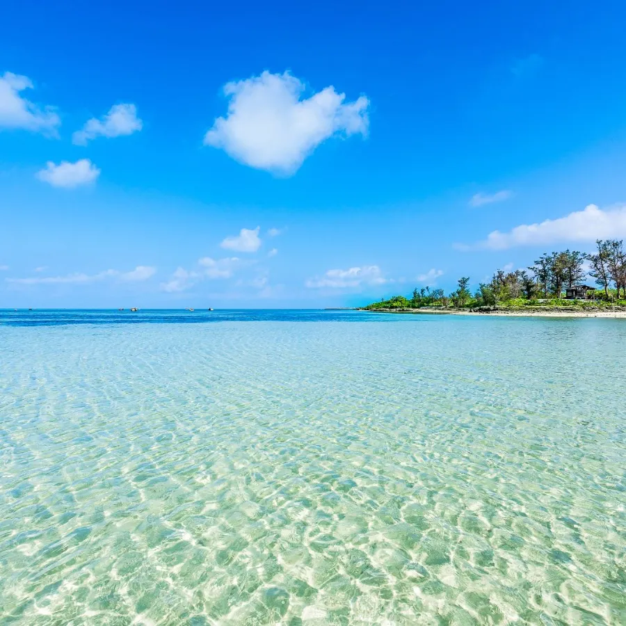 「透き通る浅瀬と青空が広がる静かな海辺の風景」